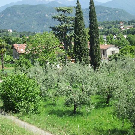 Agriturismo Bonu Gabriele Salò Exteriör bild