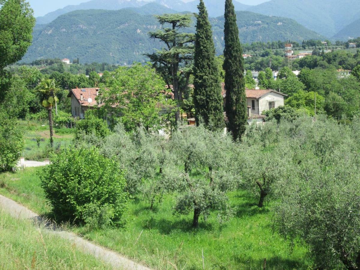 Agriturismo Bonu Gabriele Salò Exteriör bild